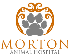 morton animal hospital