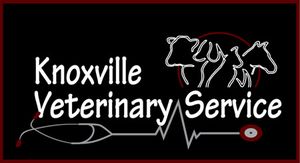 knoxville veterinary service