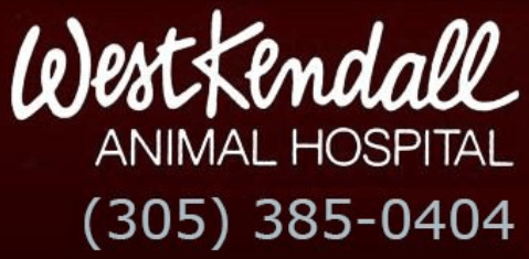 west kendall animal hospital