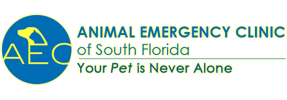 animal emergency clinic of south florida