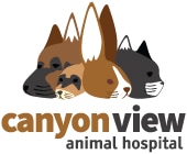 canyon view animal hospital