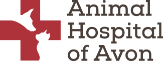 animal hospital of avon