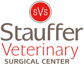 stauffer veterinary surgical center