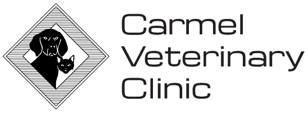 carmel veterinary clinic