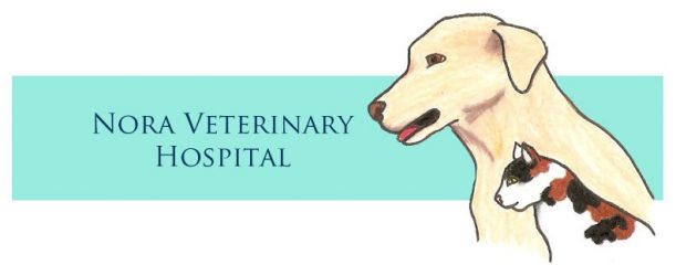 nora veterinary hospital