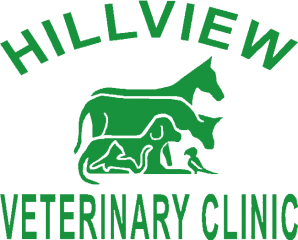 hillview veterinary clinic