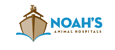 noah's animal clinic at carmel