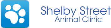 shelby street animal clinic