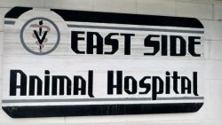 east side animal hospital