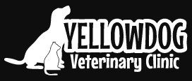 yellow dog veterinary clinic