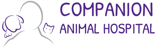 companion animal hospital