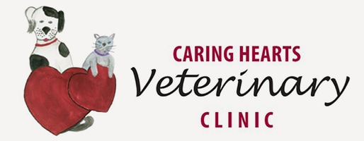 caring hearts vet clinic
