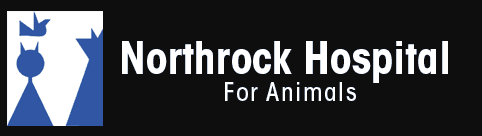northrock hospital for animals