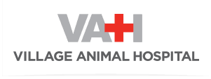village animal hospital, llc