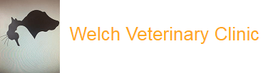welch veterinary clinic