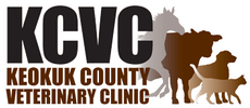keokuk county veterinary clinic, p.c.