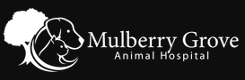 mulberry grove animal hospital