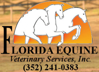 florida equine veterinary services