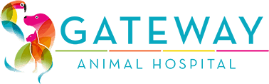 veterinary medical services