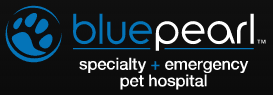 bluepearl pet hospital