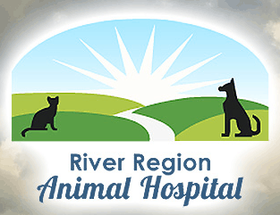 river region animal hospital