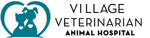 village veterinarian