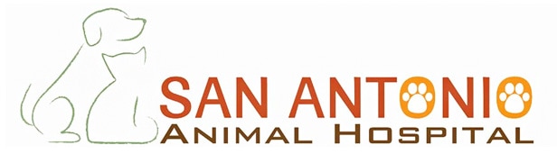 san antonio animal hospital