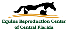 equine reproduction center of central florida