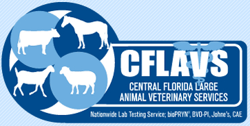 central florida large animal veterinary services (cfla, llc)
