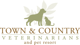 town & country veterinarians and pet resort