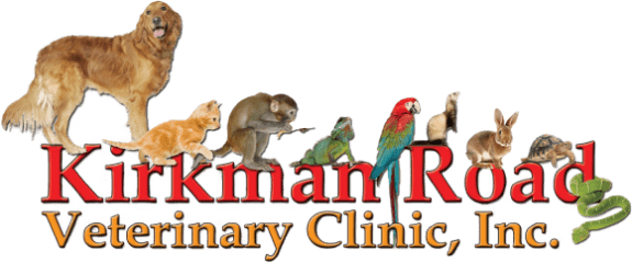 kirkman road veterinary clinic
