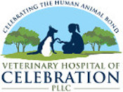 veterinary hospital of celebration