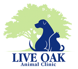 live oak animal clinic