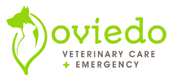 oviedo veterinary care and emergency