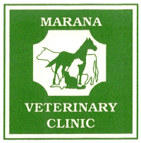 marana veterinary clinic