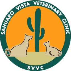 sahuaro vista veterinary clinic