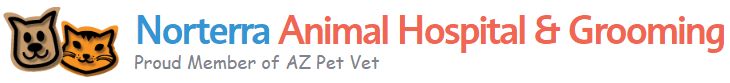 norterra animal hospital & grooming