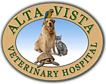 alta vista veterinary hospital