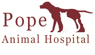 pope animal hospital