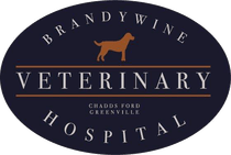 brandywine veterinary hospital
