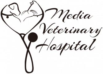 media veterinary hospital