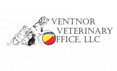 ventnor veterinary office