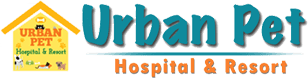 urban pet hospital and resort