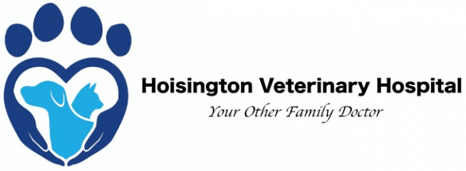 hoisington veterinary hospital
