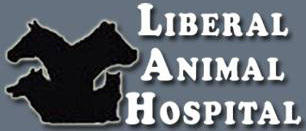 liberal animal hospital