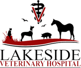 lakeside veterinary hospital
