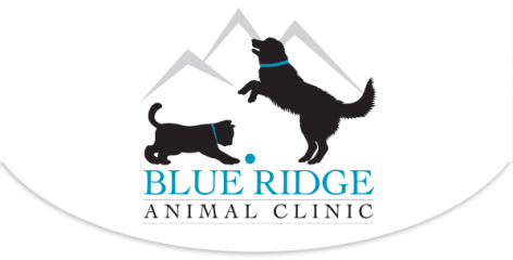 blue ridge animal clinic