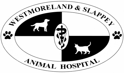 westmoreland & slappey animal hospital