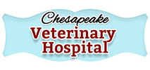 chesapeake veterinary hospital