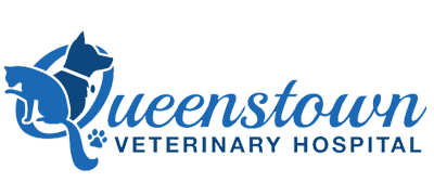 queenstown veterinary hospital